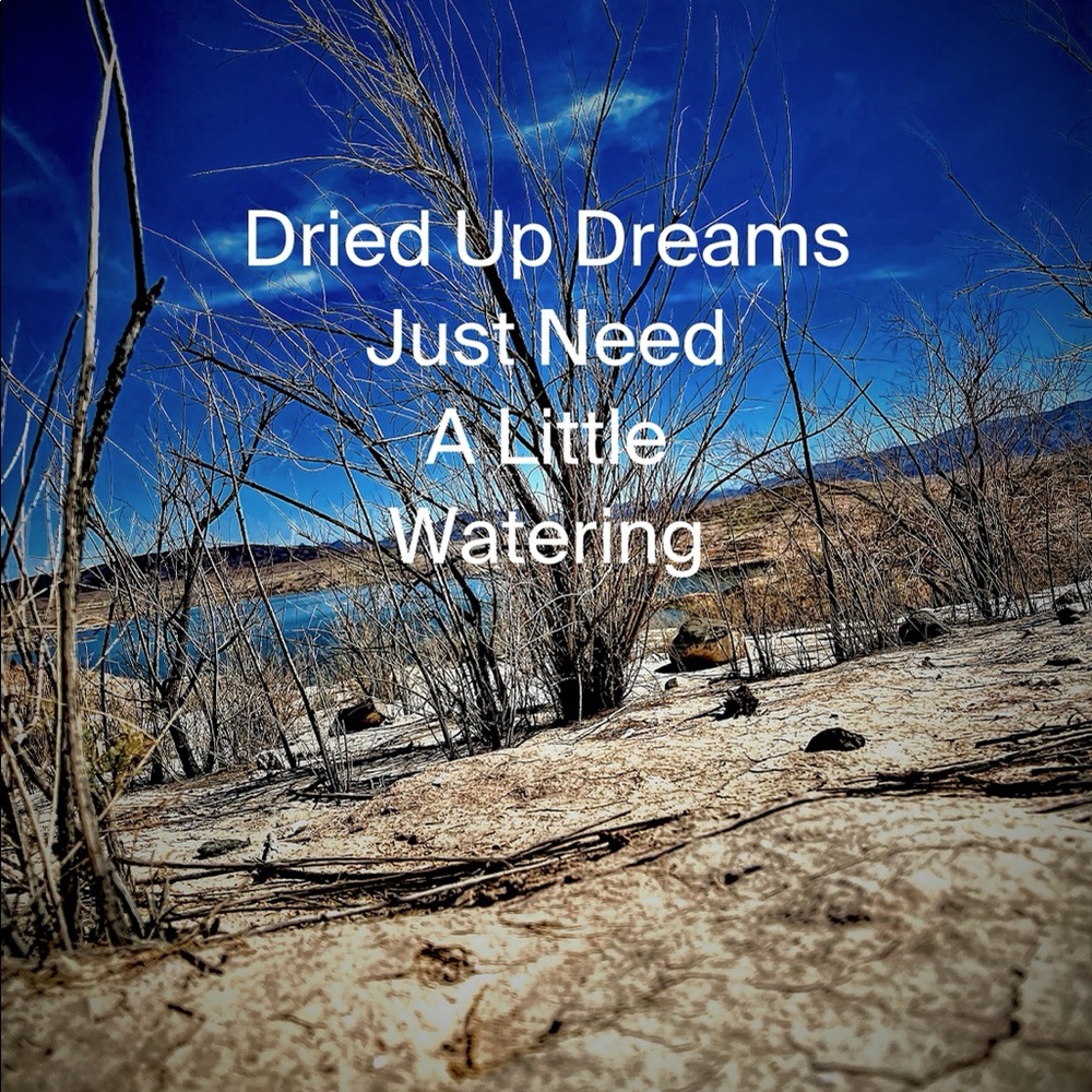 Inspiration- photo/quote by Divine Psychic Medium